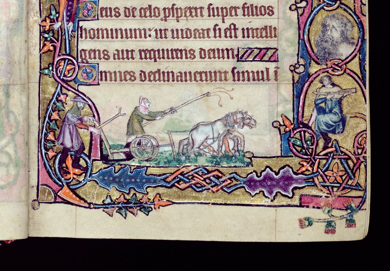 Ms 1-2005, ff.76v-77r: David og narren, historisk initial fra Macclesfield Psalter, Use of Sarum, East Anglia, ca. 1330 (vellum) (detalj av 276994) av English School