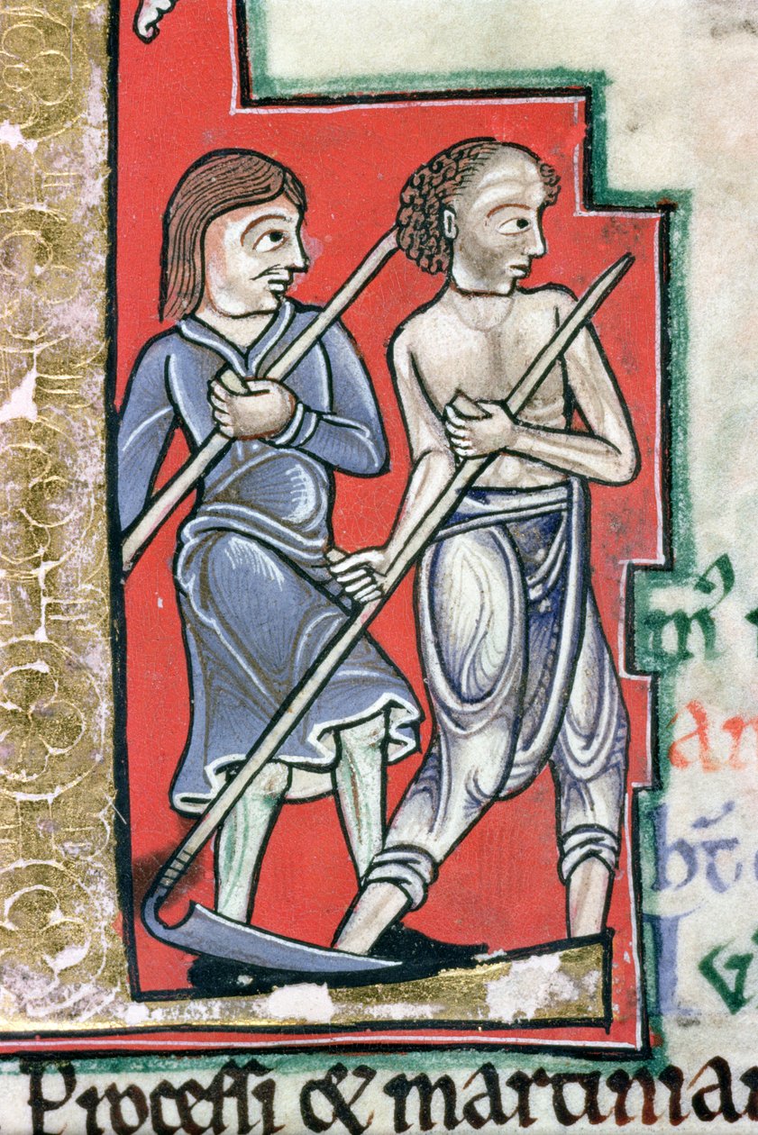 Ms Hunter 229 f.4r Mowing, fra Hunterian Psalter, ca. 1170 (penn og blekk og tempera på vellum) (detalj) av English School