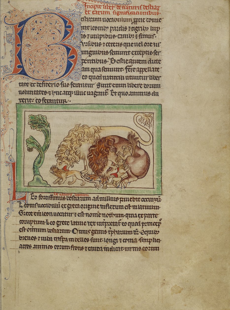 Northumberland Bestiary, ca. 1250-60 (fargede vasker og blekk på pergament) av English School