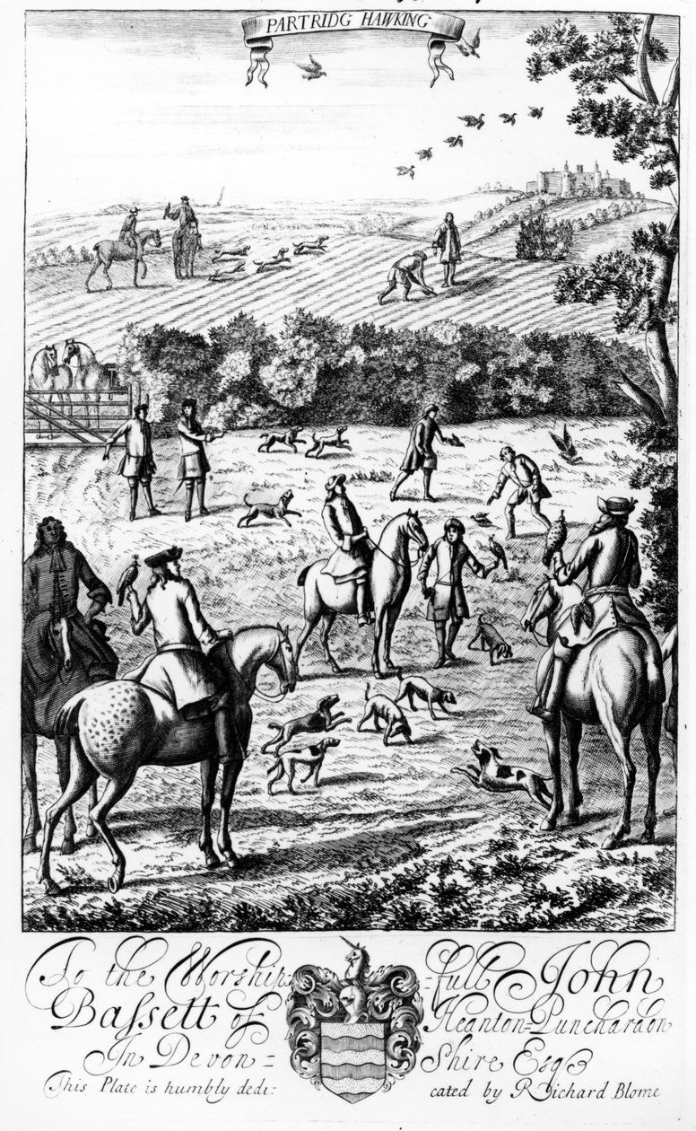 Partridge Hawking, fra 