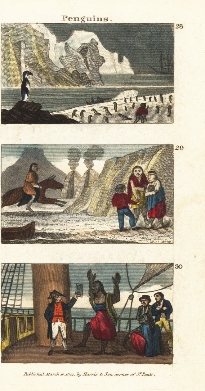 Pingviner i Sør-Amerika 28, patagoniske giganter i dyreskinn 29, og patagonianere gledet ved synet av et speil på skipet til kaptein Samuel Wallis 30 av English School
