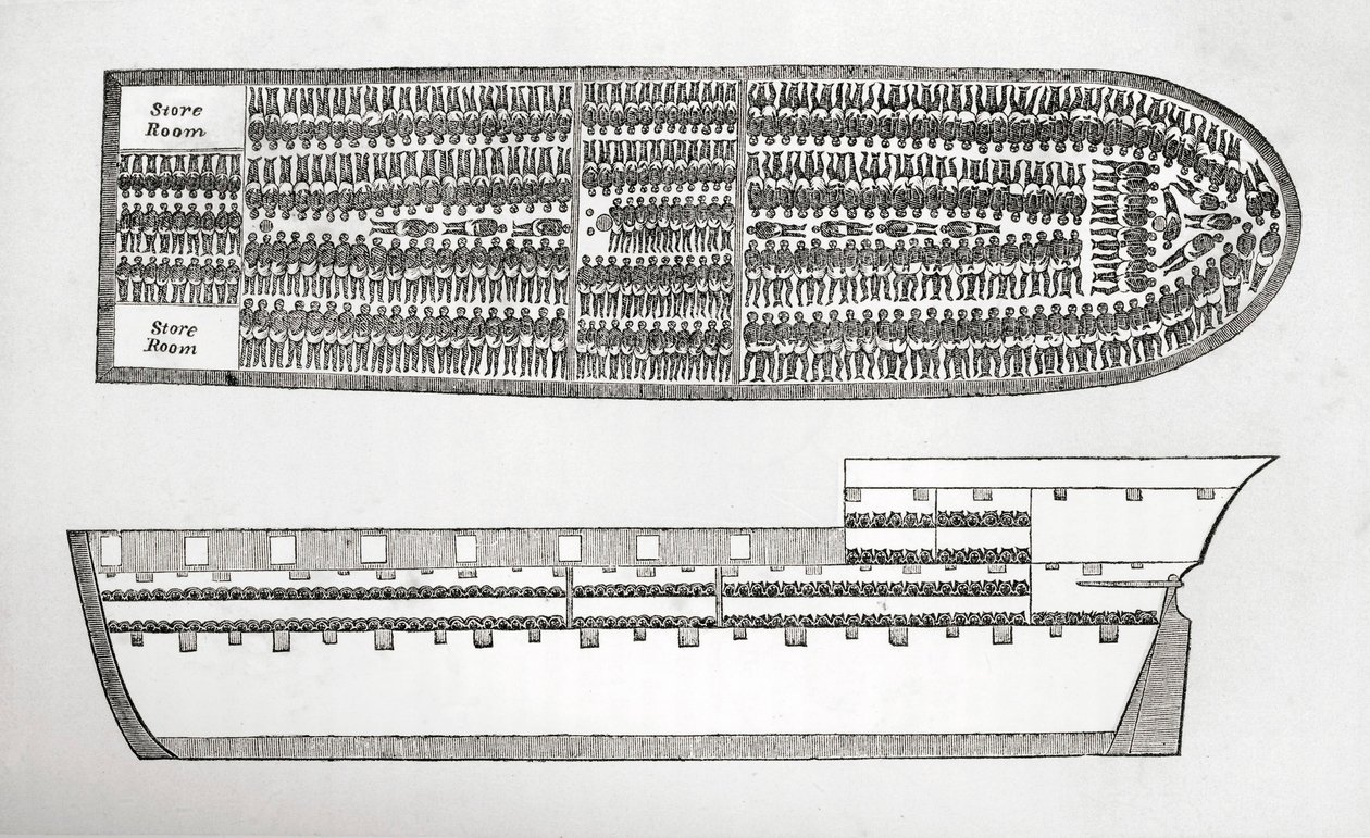 Plan som viser hvordan slaver ble fraktet om bord på et slaveskip i gravering fra 1700-tallet. av English School