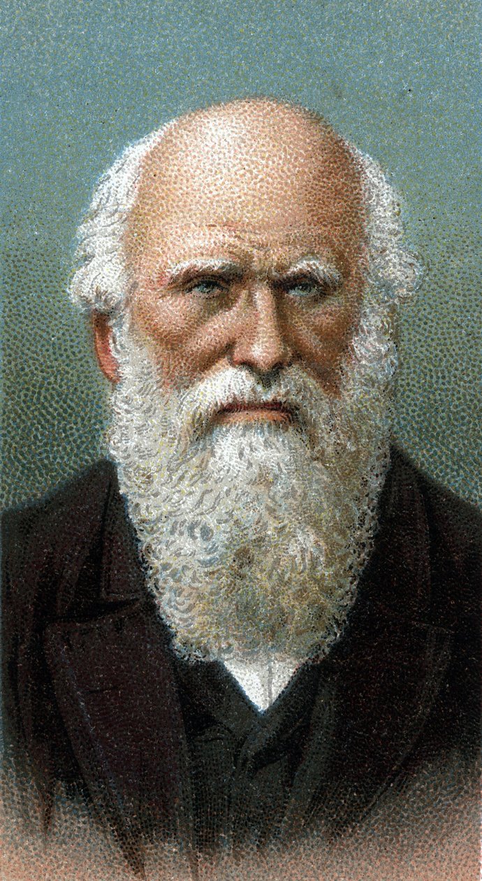 Portrett av Charles Robert Darwin (1809-1882) - Fra serien "" Leaders of Men"" - Chromolithography - English School, 20. århundre - av English School