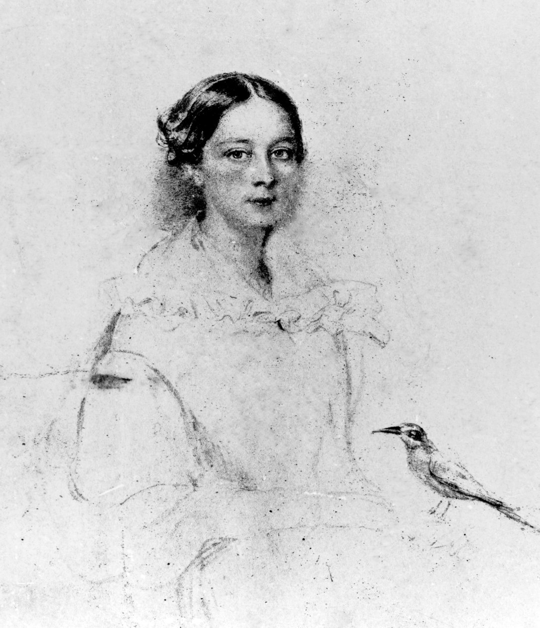 Portrett av Emily Shore (1819-1839), 1800-tallet (tegning) av English School