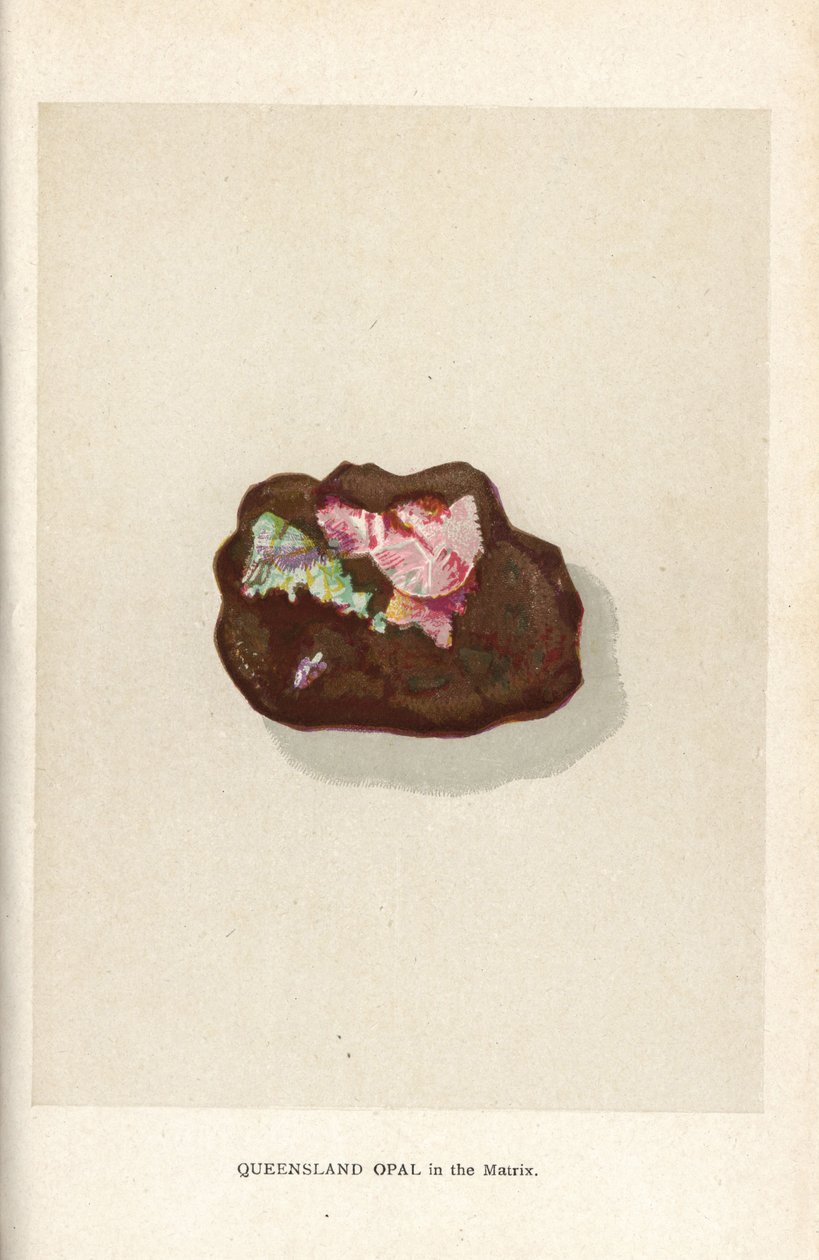 Queensland-opal i matrisen, fra Edwin Streeters "Precious Stones and Gems," London, George Bell & Sons av English School