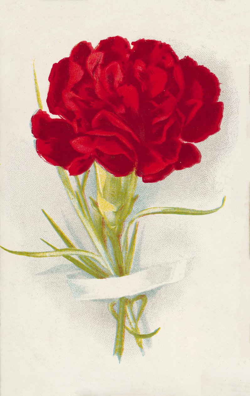 Rød nellik (chromolitho) av English School