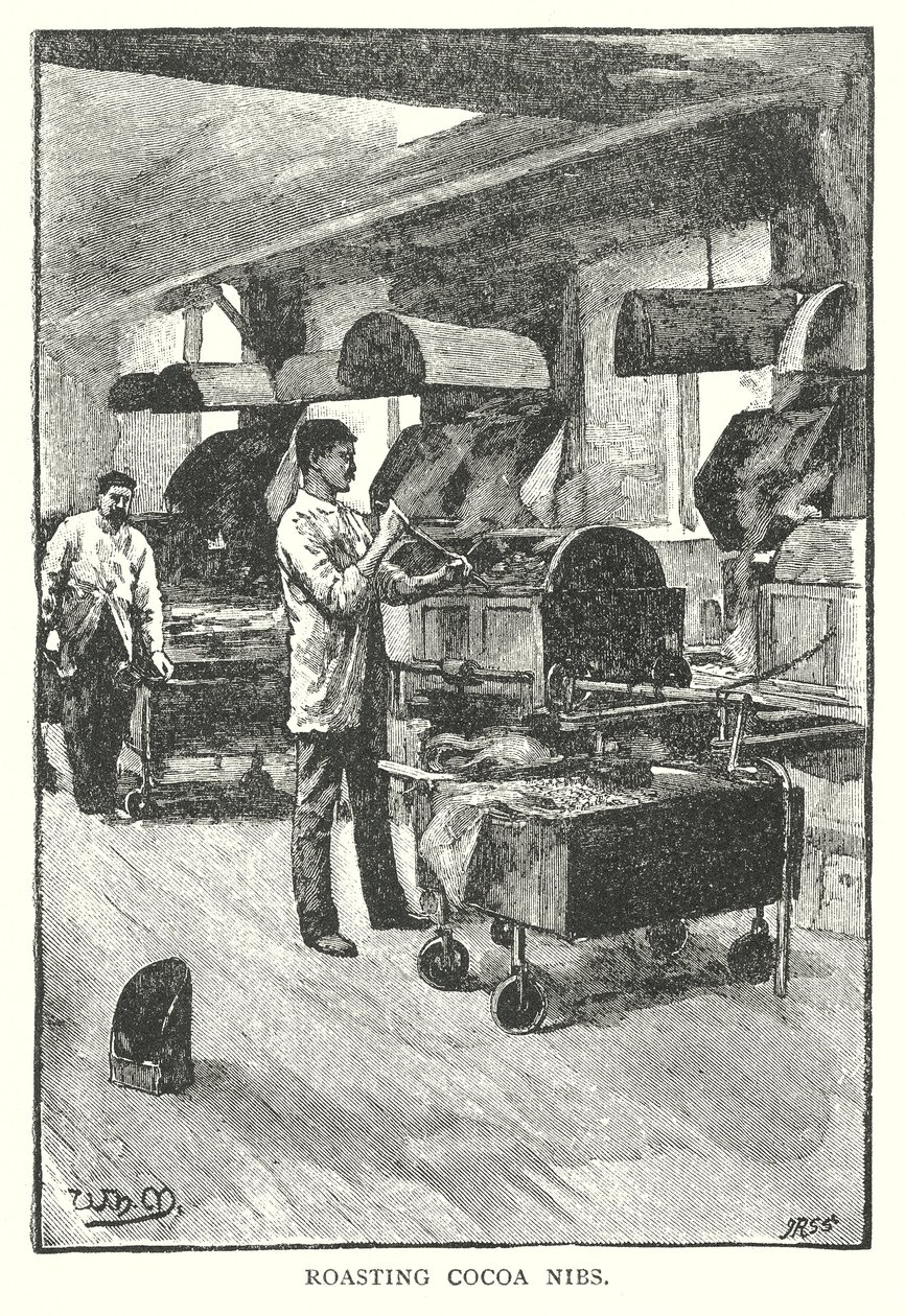 Ristede kakaonibs (gravering) av English School