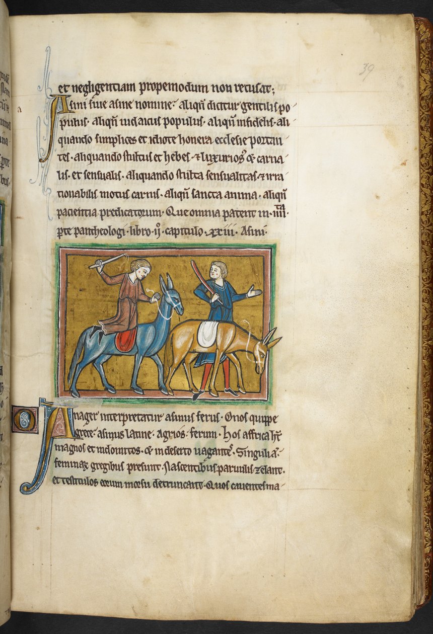 Kongelig 12 F.XIII, f.39   To menn med to menn med rumper. , fra Bestiary (ff. 3-141), Lapidary (ff. 141v-149)  , 2. kvartal av 1200-tallet (vellum) av English School