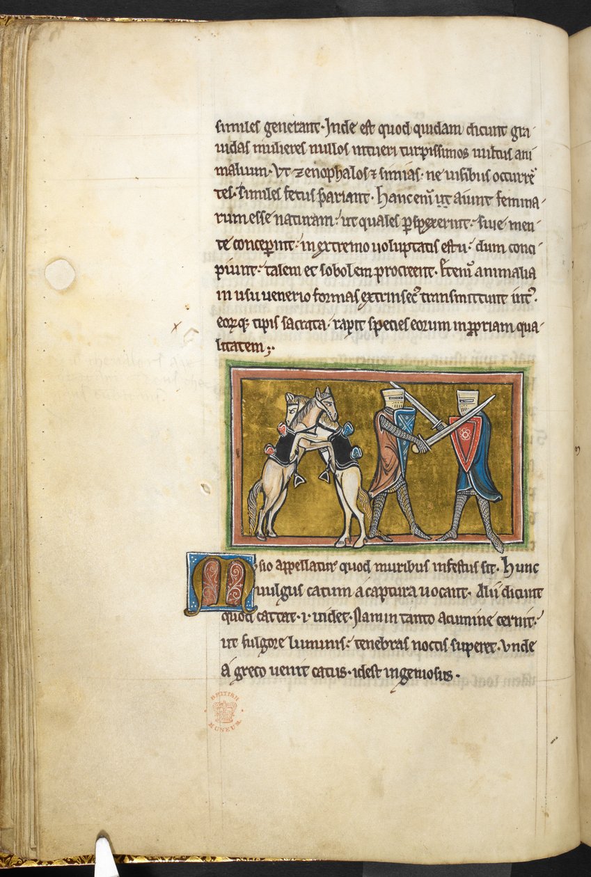 Royal 12 F.XIII, f.42v To riddere som kjemper til fots med sverd, mens hestene deres kjemper mot hverandre på bakbeina. , fra Bestiary (ff. 3-141), Lapidary (ff. 141v-149)  , 2. kvartal av 1200-tallet (vellum) av English School