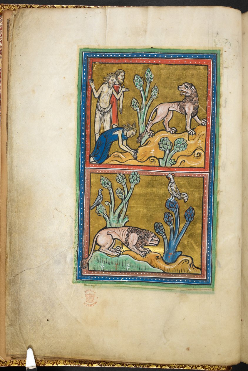 Royal 12 F.XIII, f.5v Øverst: tre menn, med en av dem som bøyer seg for en løve; under: en løve huket seg ved foten av et tre, med en hane som sitter på toppen.  fra Bestiary (ff. 3-141), Lapidary (ff. 141v-149)  2. kvartal av 1200-tallet av English School