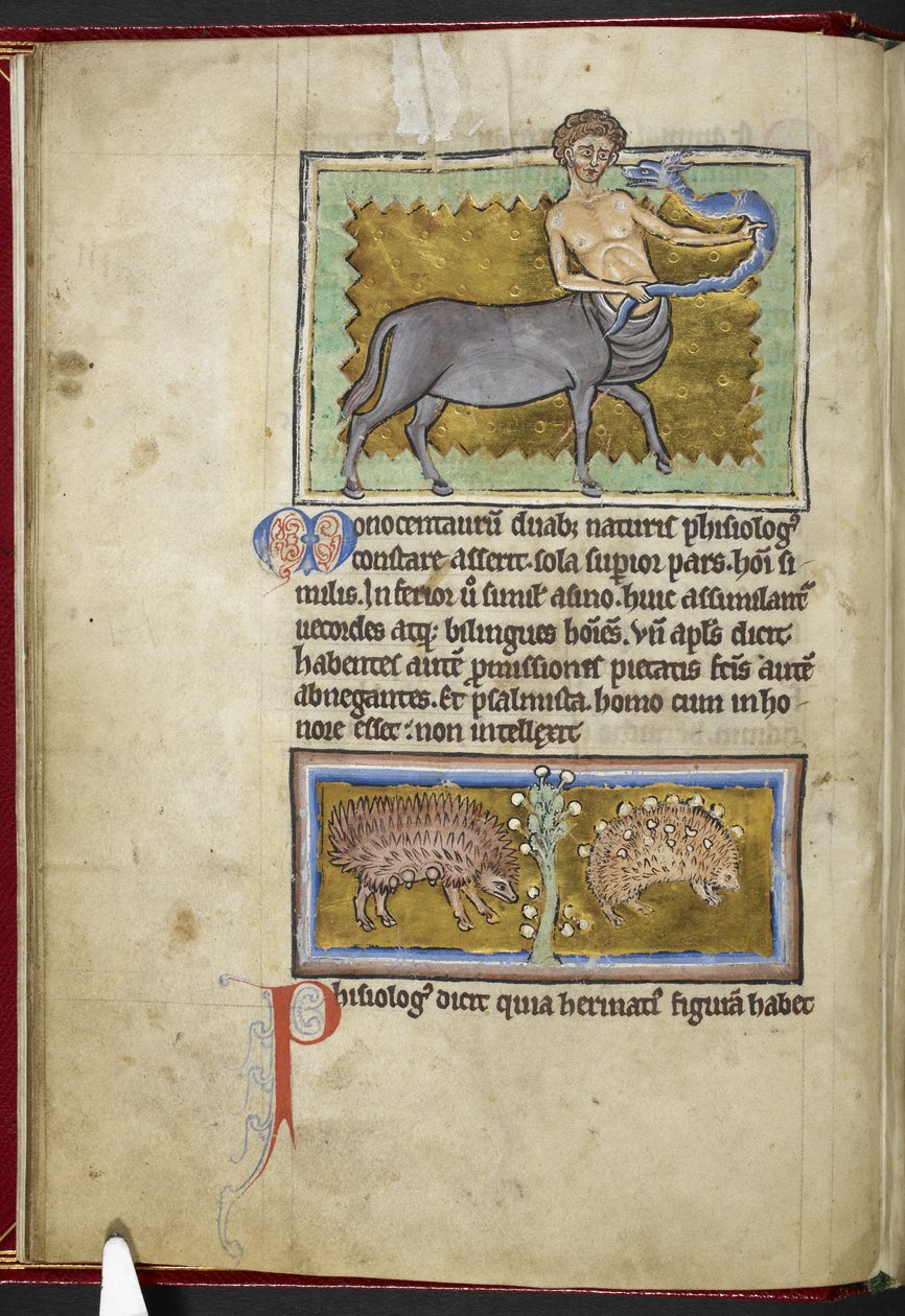 Royal MS 12 C XIX, f.8v Centaur, fra 