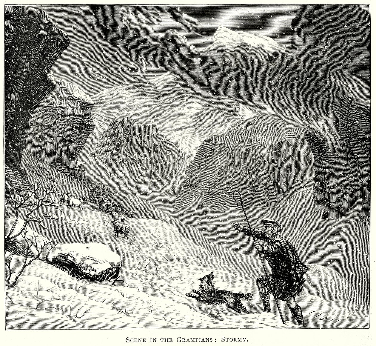 Scene i Grampians: Stormfull (gravering) av English School