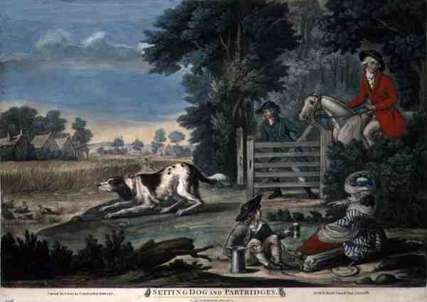 Setting Dog and Partridges, pub. av Carington Bowles (fl.1744-93) av English School