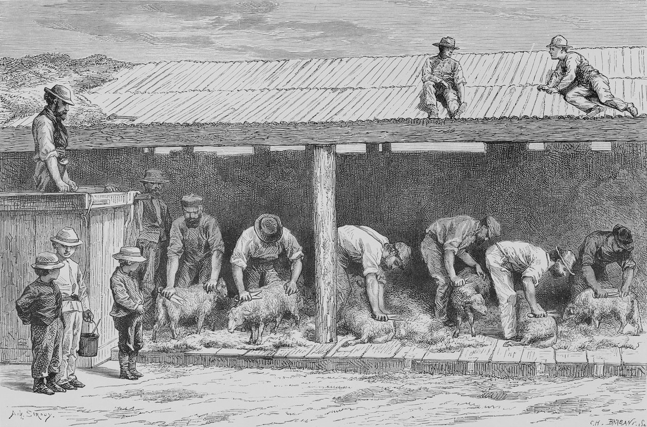 Sheep Shearing, ca. 1880, fra 
