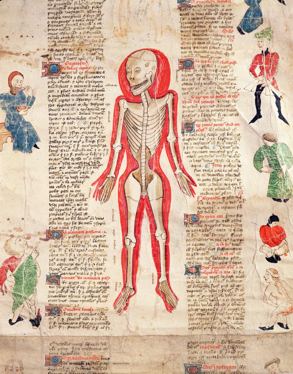Skjelett, fra De arte phisicali e de cirugia av John Ardene, 1412 av English School