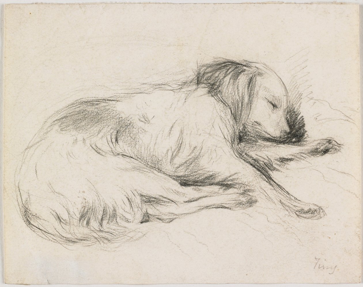 Sleeping Dog, ca. 1840 (grafitt på papir) av English School