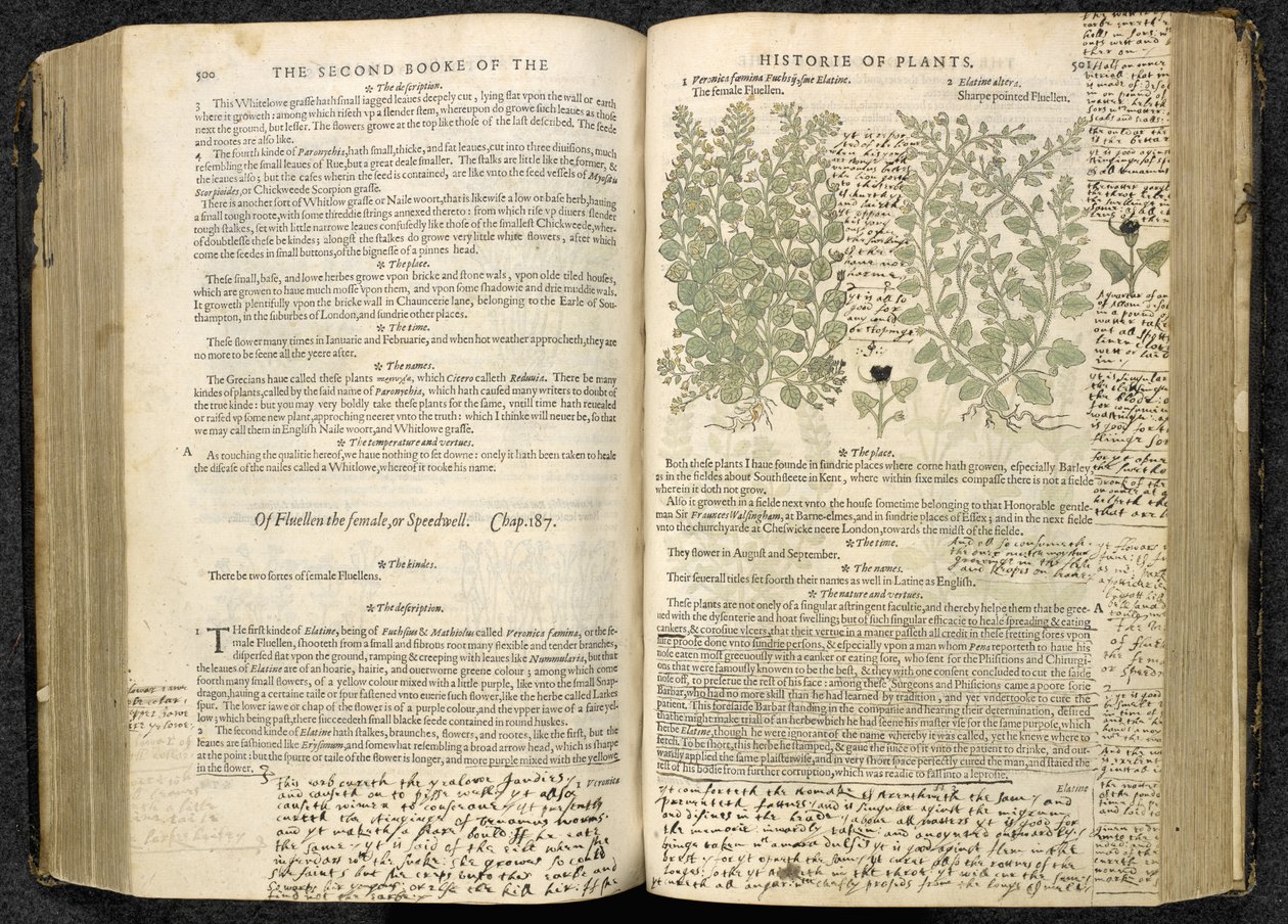 Speedwell, side 500-501 fra 