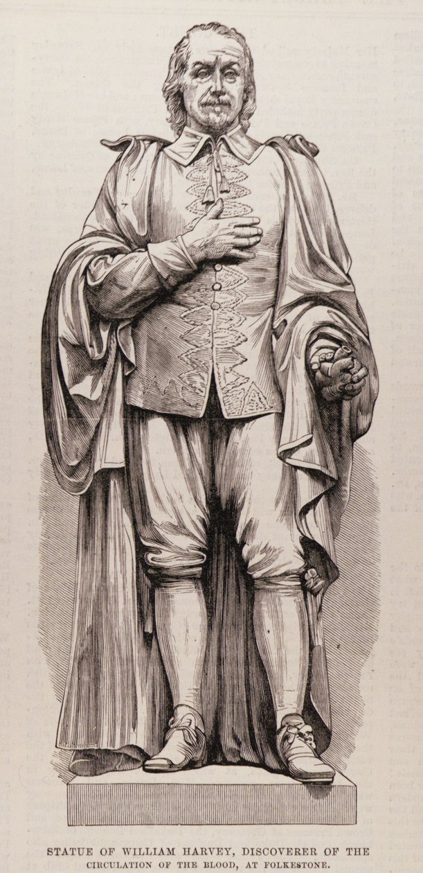 Statue av William Harvey (1578-1657), oppdager av blodsirkulasjonen, ved Folkestone, fra The Illustrated London News, 13. august 1881 av English School