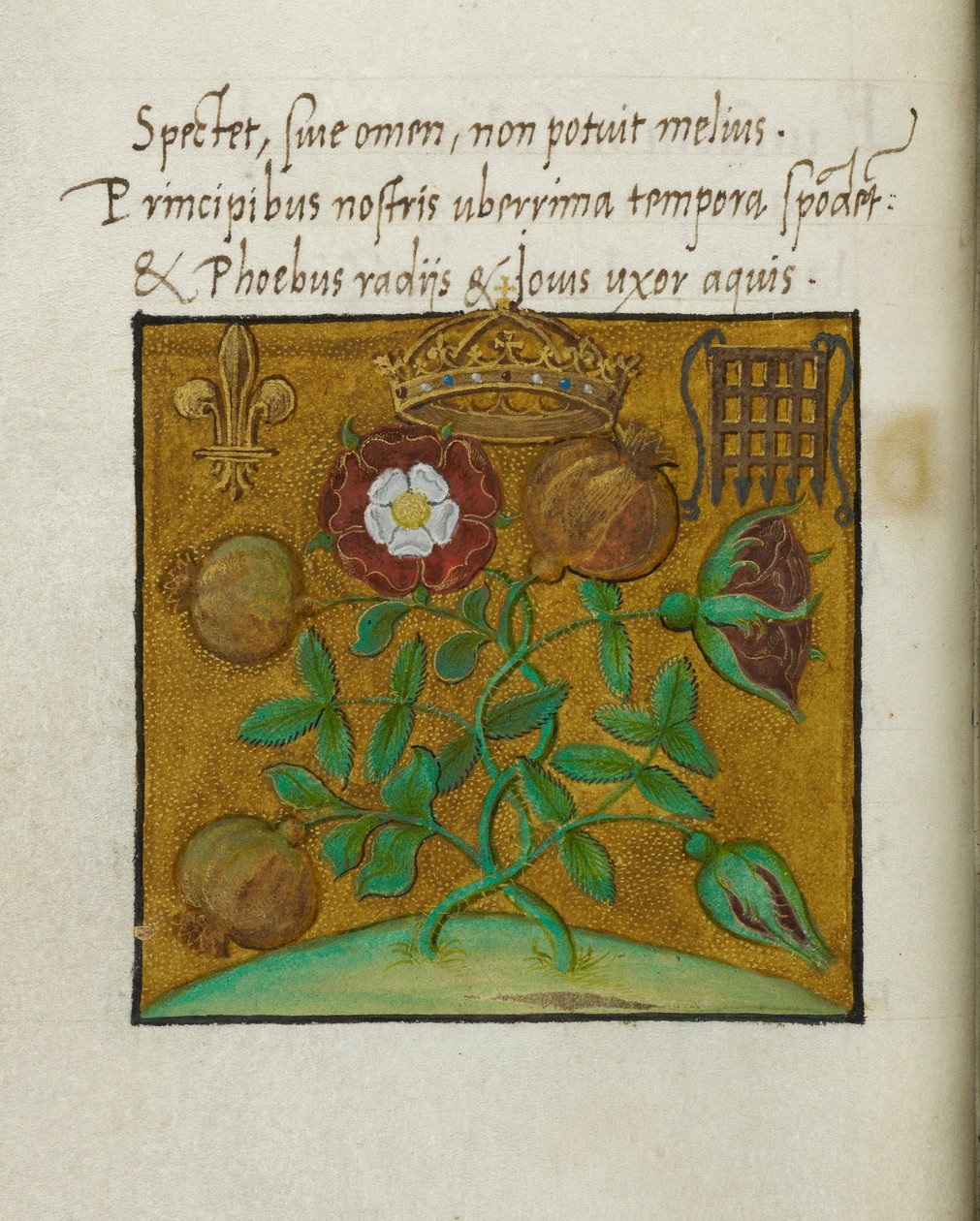 Symboler for kongelige, illustrasjon for 