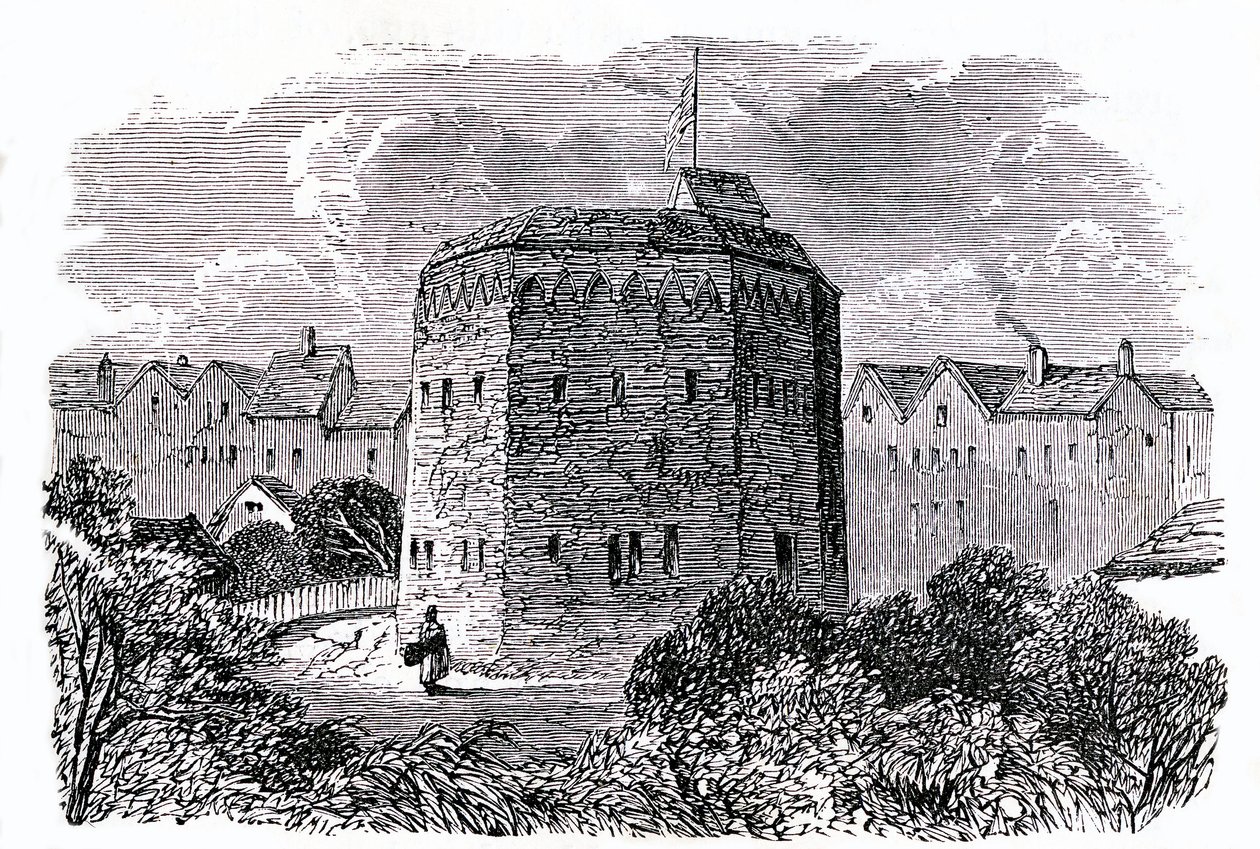 The Beargarden, Southwark, London (litho) av English School