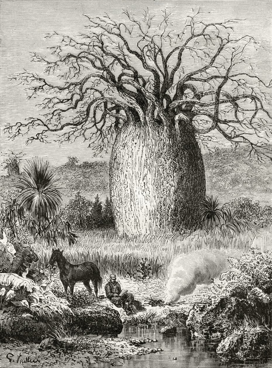 The Bottle Tree, fra 