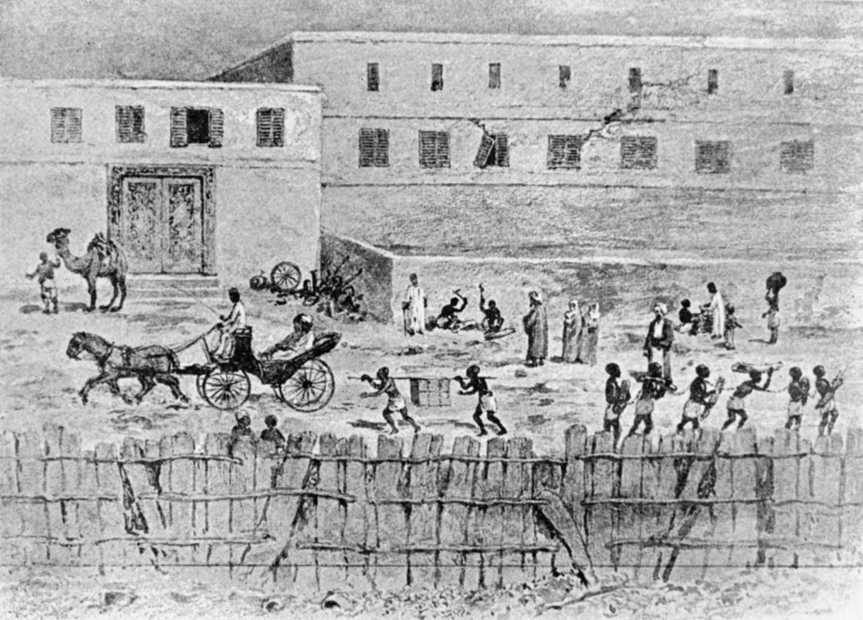The Esplanade, Zanzibar, fra "The Arab and the African", av Septimus Tristram Pruen av English School