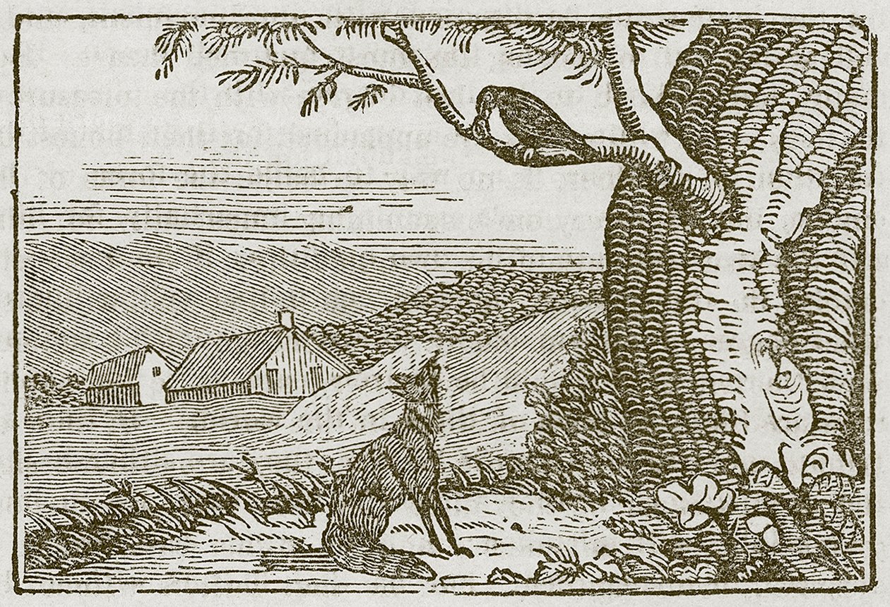 Reven og kråken (gravering) av English School
