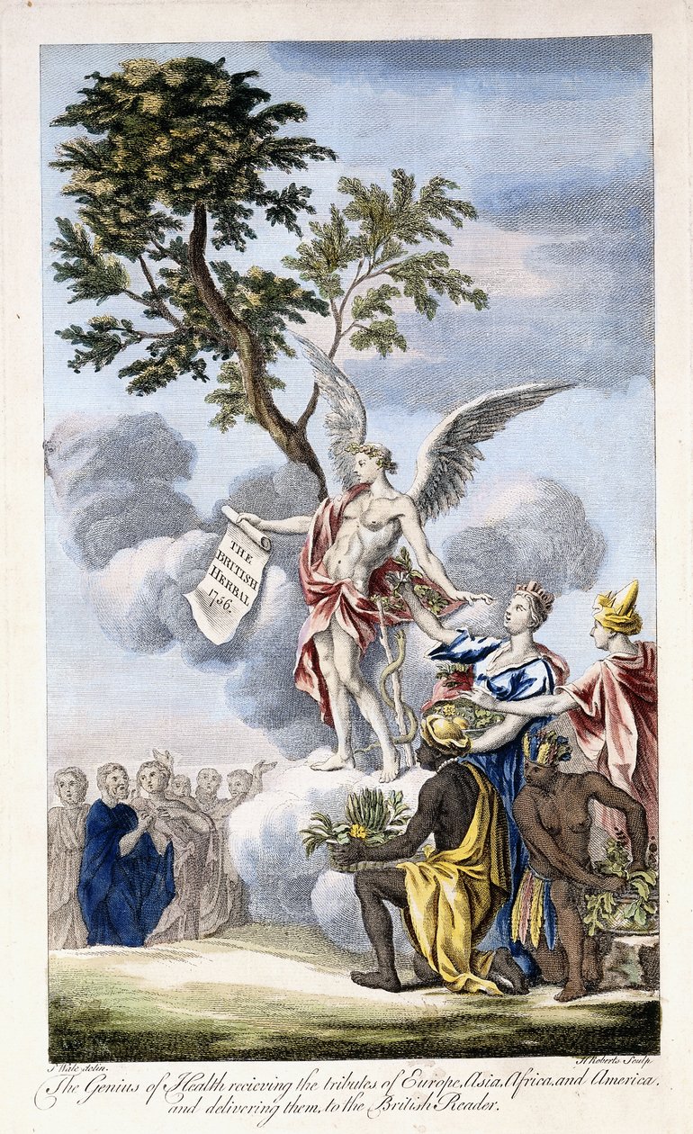 The Genius of Health mottar Europa, Asia, Afrika og Amerika og leverer dem til den britiske leseren, 1756-1757 av English School
