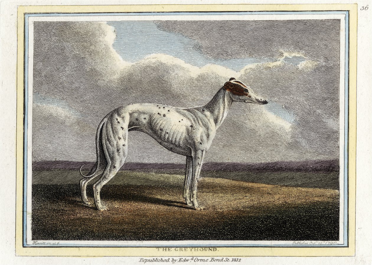 The Greyhound, pub. 1812 (håndfarget gravering) av English School