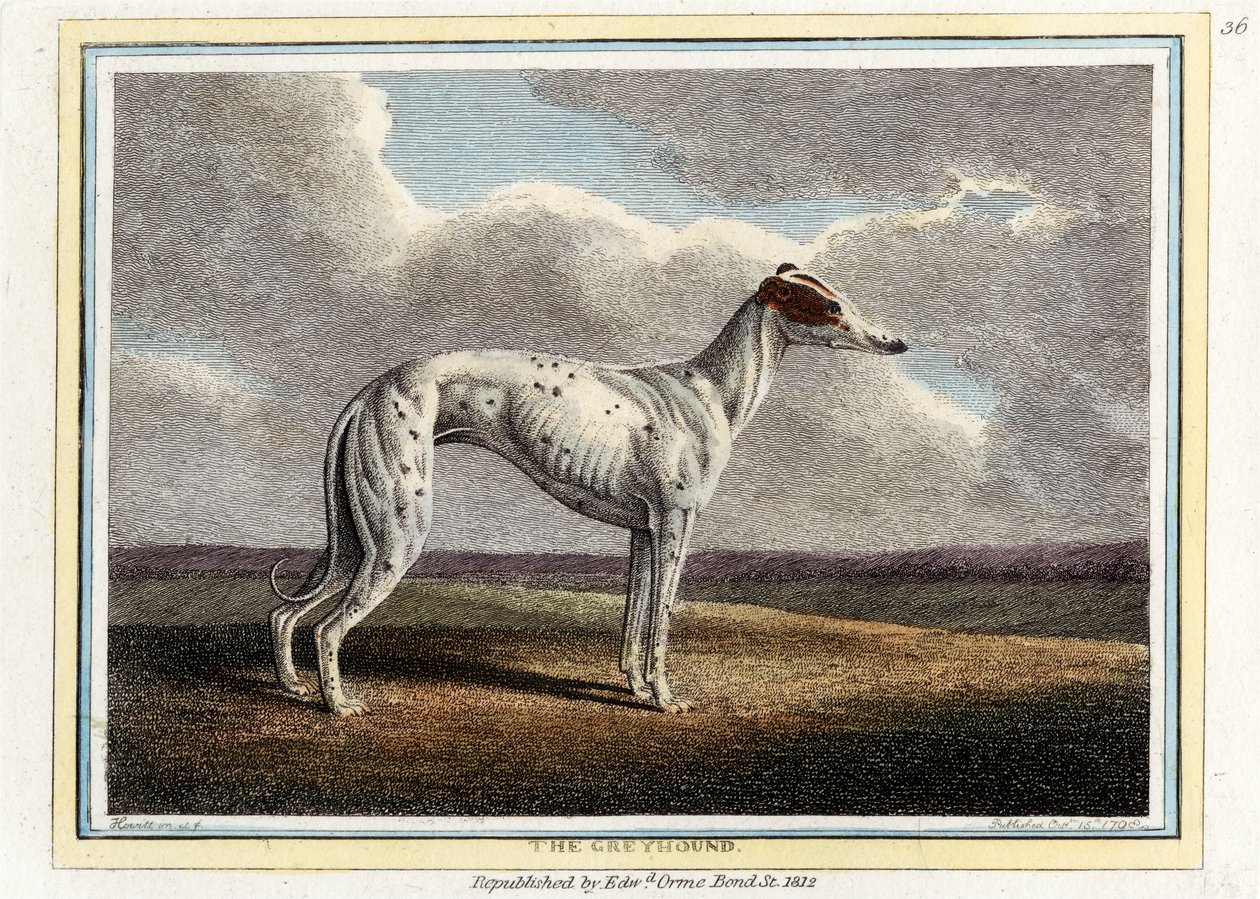 The Greyhound, pub. 1812. av English School