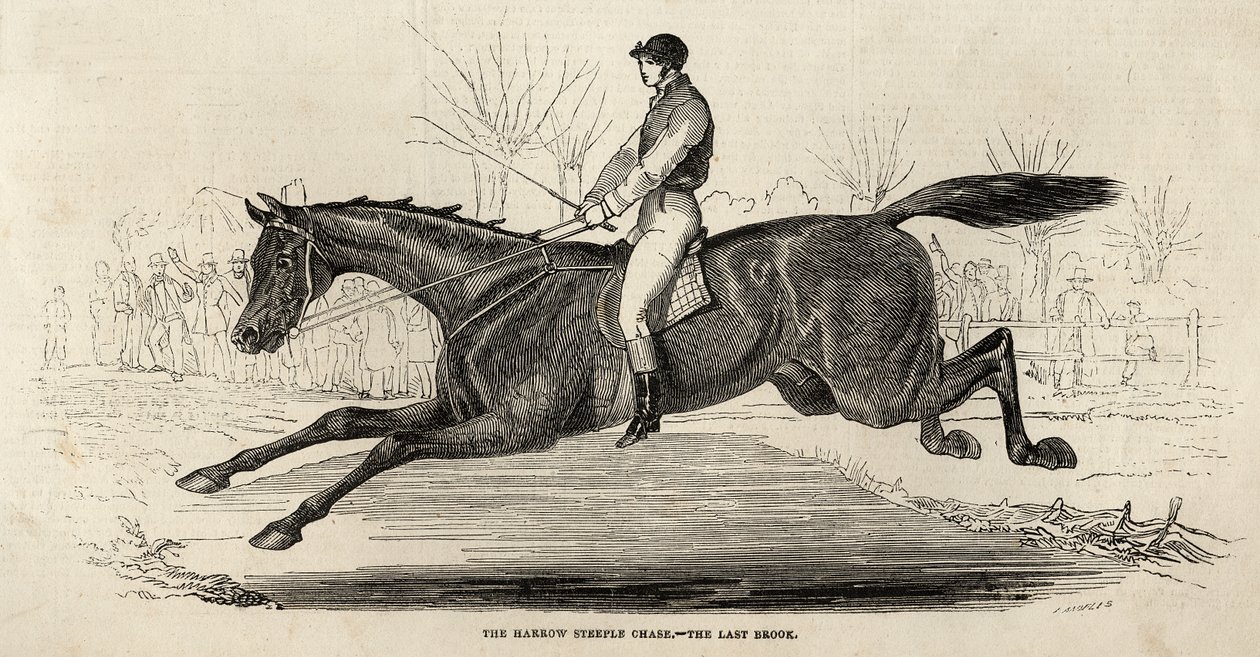 The Harrow Steeple Chase: The Last Brook, fra 