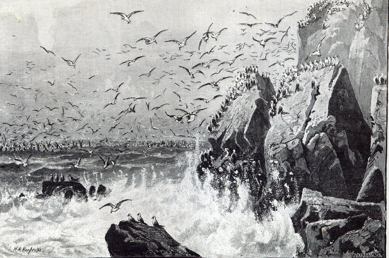 The Haunt of the Gulls, fra 