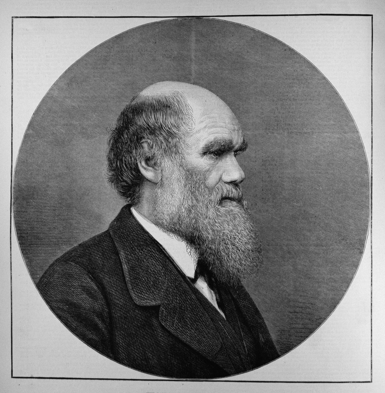 The Late Mr C. R. Darwin, FRS, LLD, fra The Illustrated London News, 29. april 1882 av English School