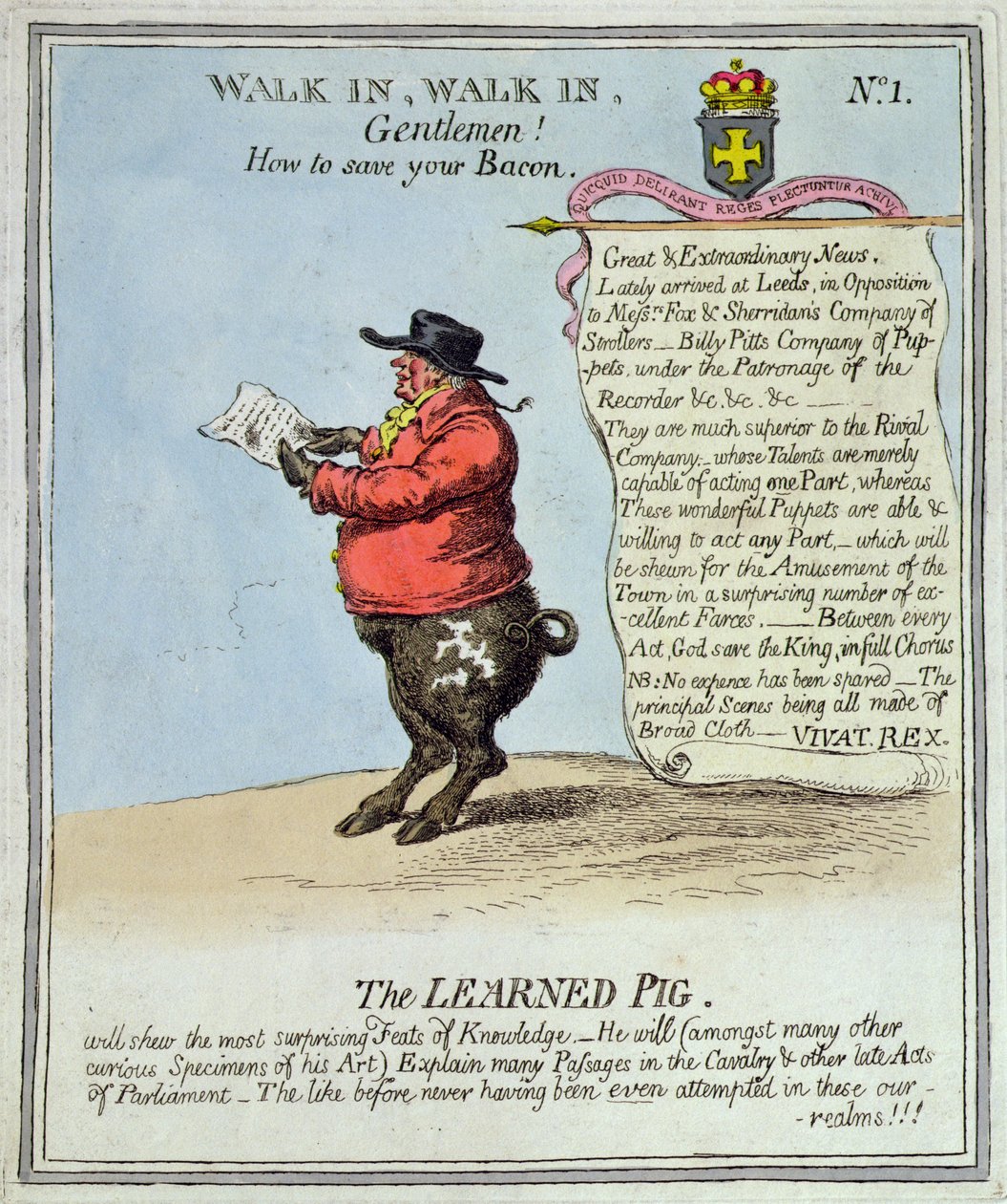 The Learned Pig (håndfarget etsning) av English School