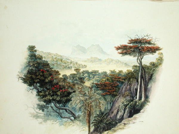 The Mountains, Ceylon (akvarell på papir) av English School