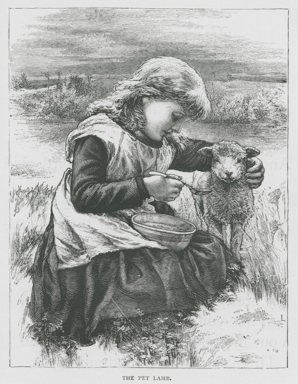 Kjæledyrlammet (gravering) av English School