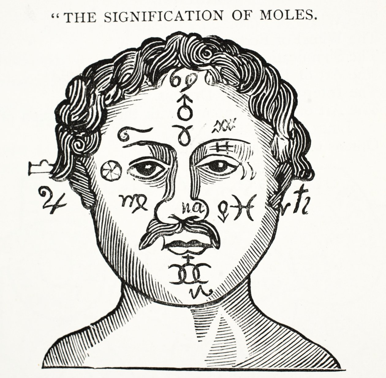 The Signification of Moles, illustrasjon fra Chap-books of the Eighteenth Century av John Ashton, pub. 1882 av English School