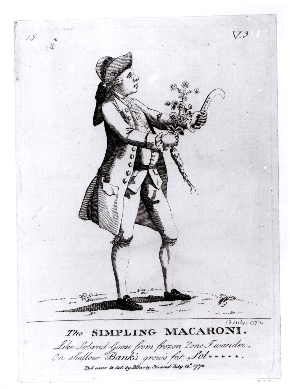 The Simple Macaroni, pub. av N. Darly, 13. juli 1772 (gravering) (bw-foto) av English School