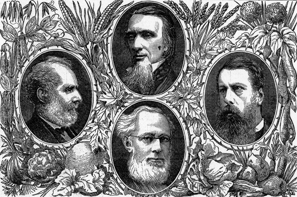 The Vegetarian System - Noen ledende medlemmer av Vegetarian Society, publisert i The Graphic, 1874 av English School