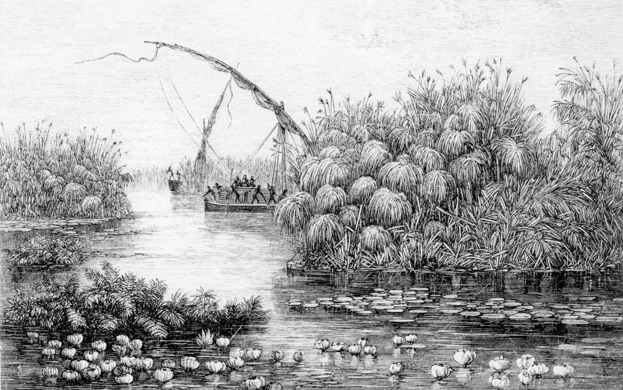 The Vessels in the Grass-Barrier, from 