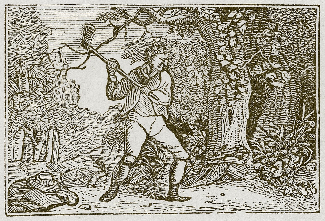 Skogen og klovnen (gravering) av English School