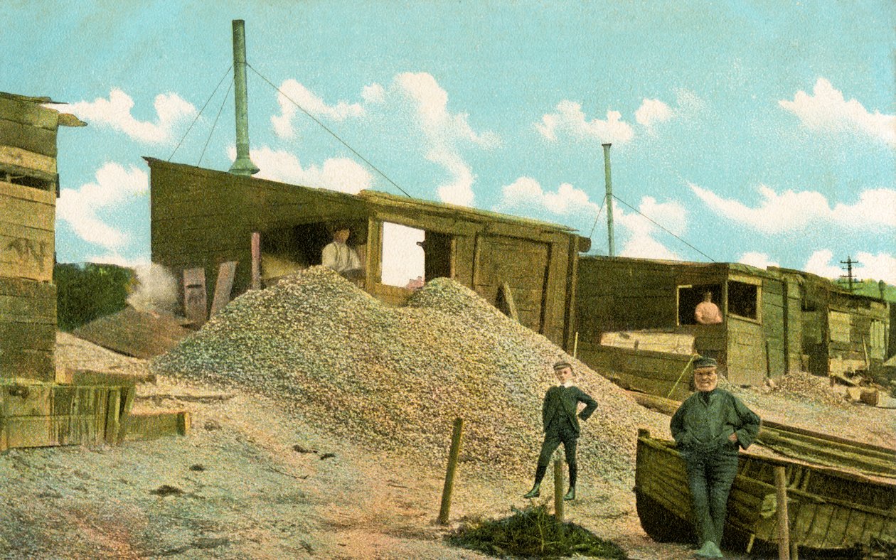 Hjertemuslingen skurer i gamlebyen, Leigh-on-Sea, Essex, England (farge litho) av English School
