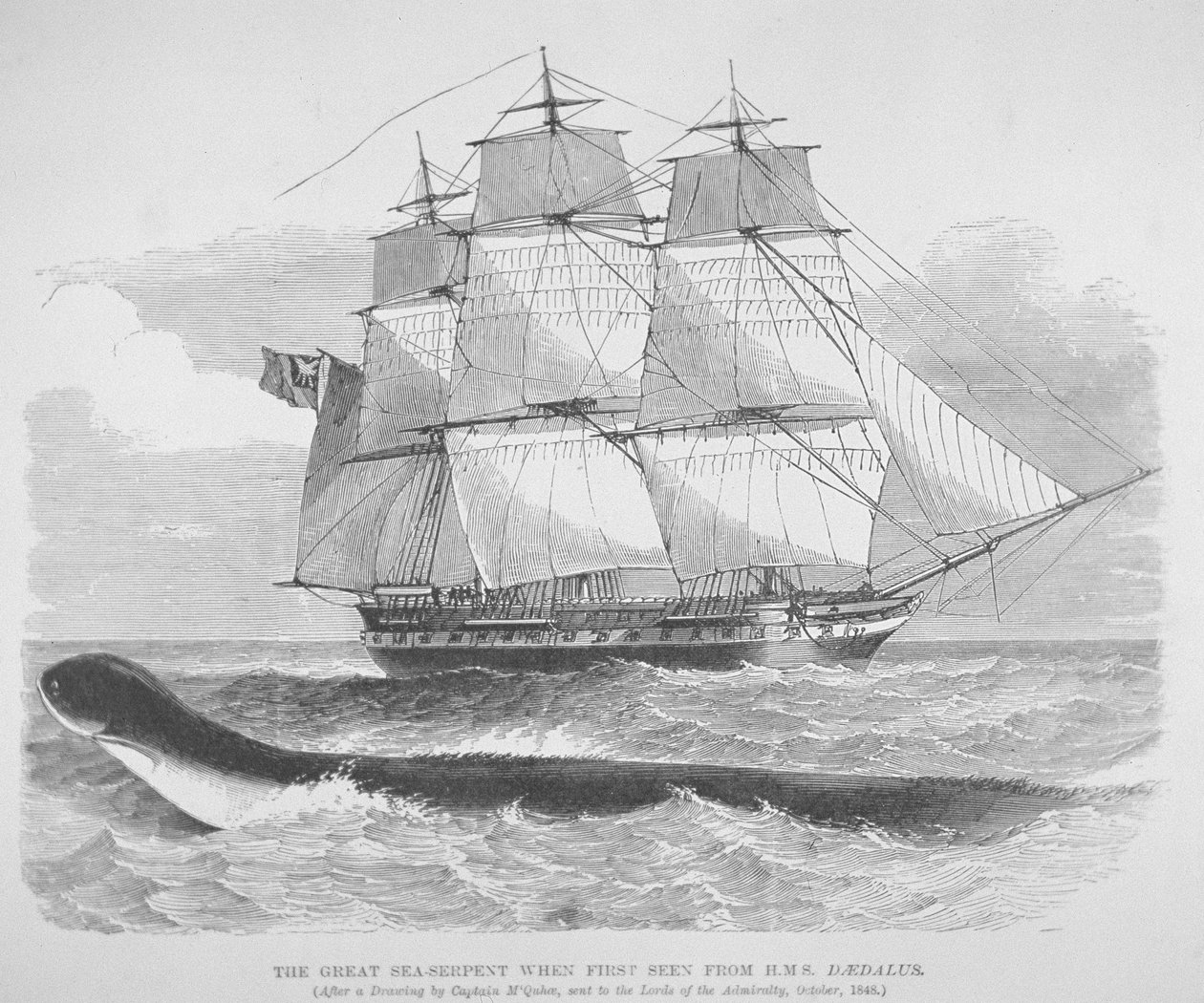 Den store sjøormen først sett fra HMS Daedalus i 1848, ca. 1848 (gravering) av English School