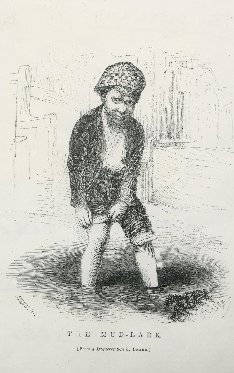 The mud-lark av English School