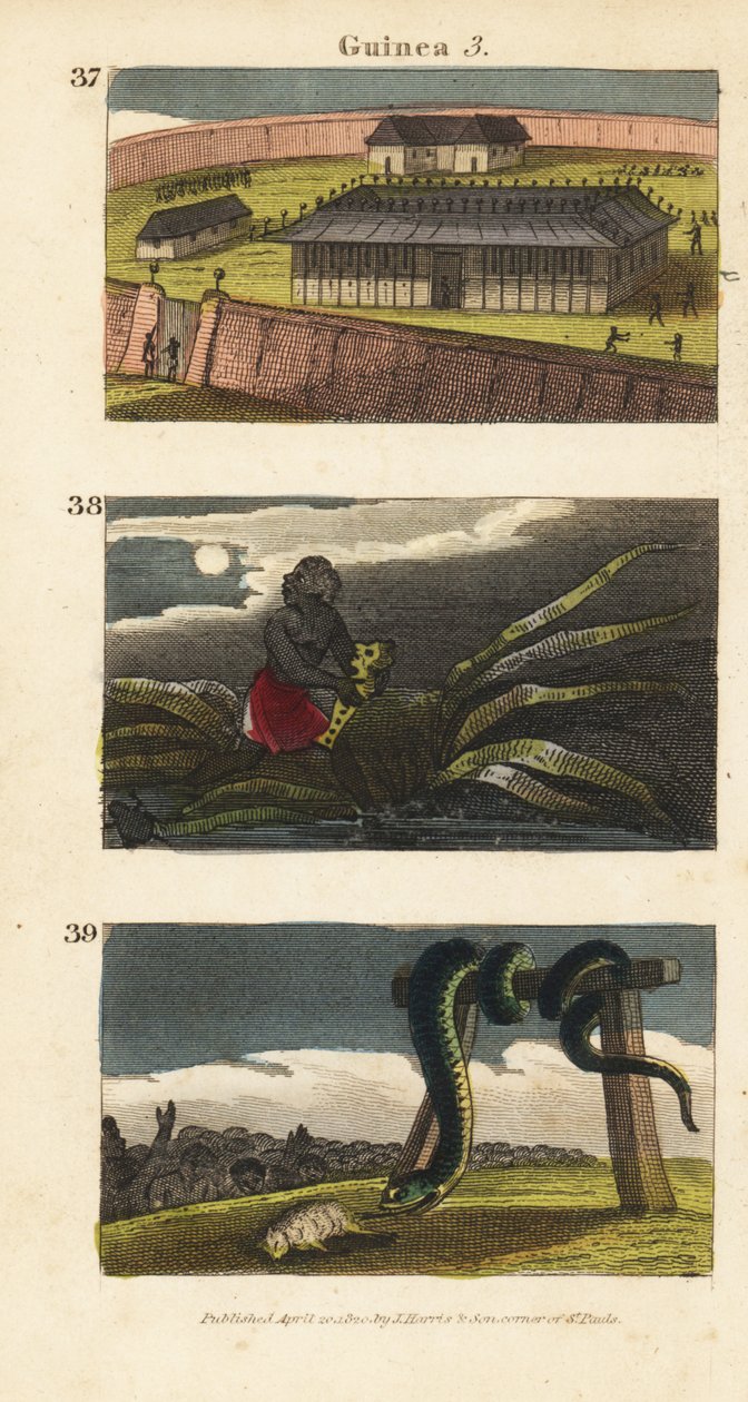Palasset til kongen av Dahomey i Abomey 37, en afrikansk mann som skjuler en fetisj 38, og folk i Whydah som tilber en enorm slange 39 av English School