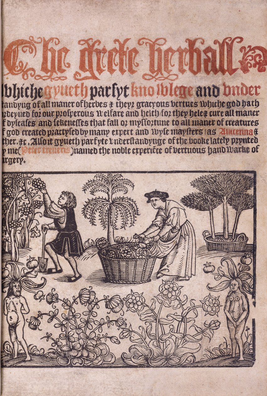 Tittelside som illustrerer en hagescene med figurer, 1529 av English School