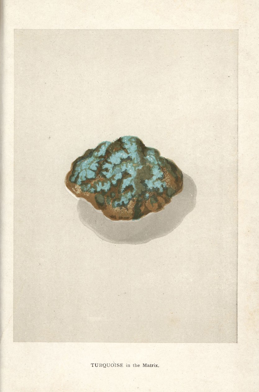Turkis i matrisen, fra Edwin Streeters «Precious Stones and Gems», London, George Bell & Sons av English School