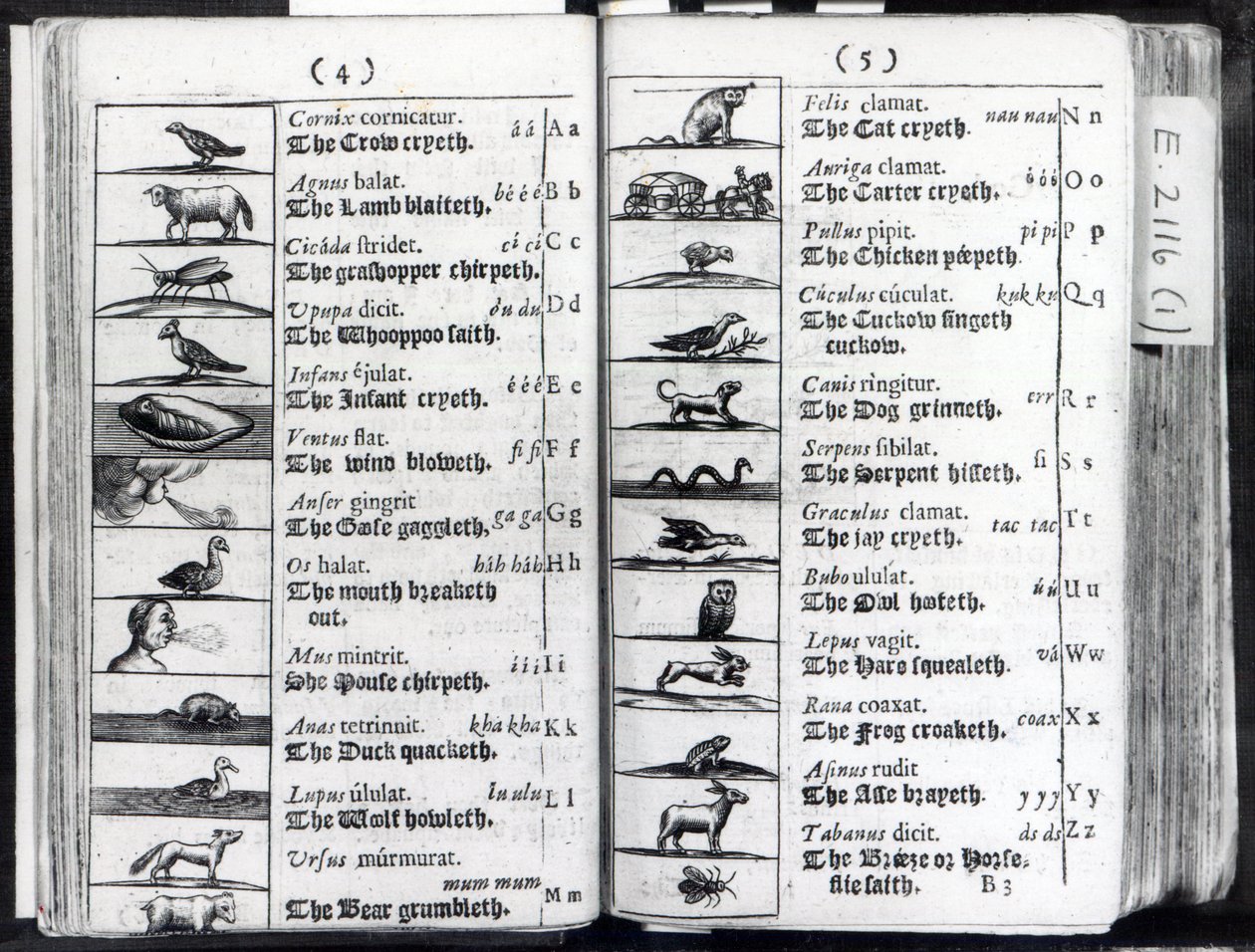 To sider fra Orbis Sensual Pictus av Comenius, 1659 av English School
