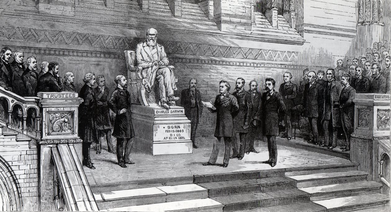 Avduking av statuen av avdøde Charles Darwin i Natural History Museum, South Kensington, 9. juni 1885 av English School