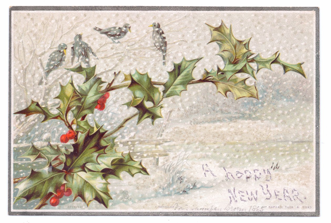 Viktoriansk nyttårskort med fugler på grener i den fallende snøen, ca. 1880 (farge litho) av English School